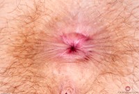 ATK hairy Rosalyn Sphinx Set