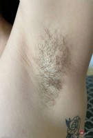 ATK hairy Rosalyn Sphinx in young and hairy