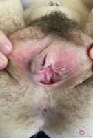 ATK hairy Rosalyn Sphinx in young and hairy