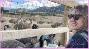 ATK Aunt Judys  in Virtual vacation