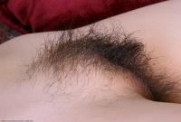 ATK hairy Sadie in exotic and hairy