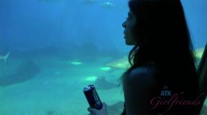 ATK Aunt Judys  in Virtual vacation