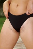 ATK hairy Sage Set