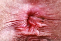 ATK hairy Sahara Skye Set