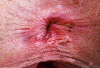 ATK hairy Sahara Skye Set