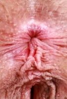 ATK hairy Sahara Skye Set