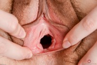 ATK hairy Rebecca Vanguard Set