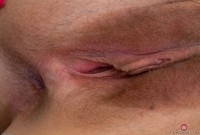 ATK hairy Rebecca Vanguard Set