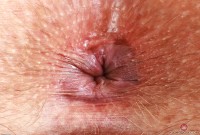 ATK hairy Rebecca Vanguard in young and hairy