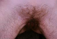 ATK hairy Sandy Set