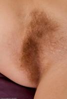 ATK hairy  in young and hairy