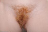 ATK hairy Sasha Set