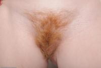 ATK hairy Sasha Set