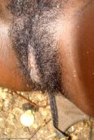 ATK hairy  in exotic and hairy