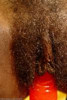 ATK hairy Satya Set