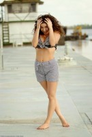 ATK hairy Sativa Verte in exotic and hairy