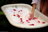 ATK hairy Sativa Verte in exotic and hairy