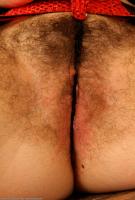 ATK hairy  in scary hairy