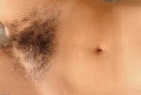 ATK hairy Sativa Verte Set