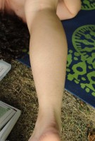 ATK hairy Sativa Verte Set