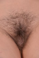 ATK hairy Savannah Secret Set