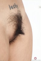 ATK hairy  in exotic and hairy