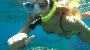 ATK Aunt Judys Scarlett Sage in Virtual vacation