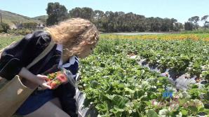 Girlfriend Selina Imai Video