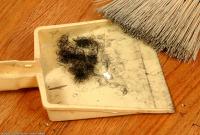 ATK hairy  in exotic and hairy