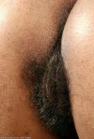 ATK hairy Shadow Set