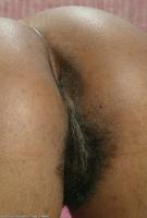 ATK hairy  in exotic and hairy