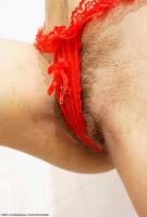 ATK hairy  in exotic and hairy