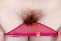 ATK hairy Marie McCray Set