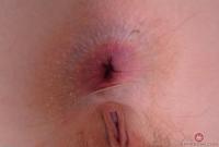 ATK hairy Marie McCray Set