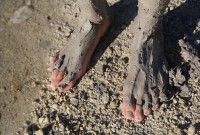 ATK hairy Shrima Set