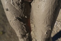 ATK hairy Shrima Set