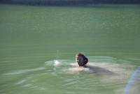 ATK hairy Shrima in exotic and hairy