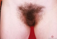 ATK hairy Sia Wood Set