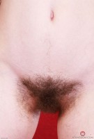 ATK hairy Sia Wood Set
