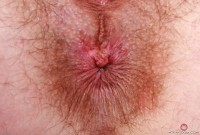 ATK hairy Sia Wood Set