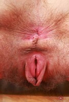 ATK hairy Sia Wood Set