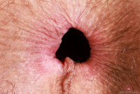 ATK hairy Sia Wood Set