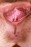 ATK hairy Sia Wood Set