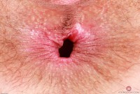 ATK hairy Sia Wood Set