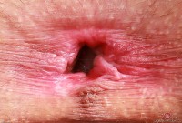 ATK hairy Sia Wood Set