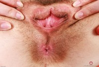 ATK hairy Sia Wood Set