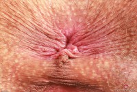 ATK hairy Sia Wood Set