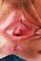 ATK hairy Sia Wood Set