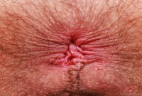 ATK hairy Sia Wood Set