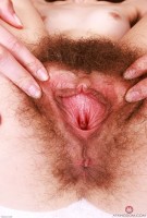 ATK hairy Sia Wood Set